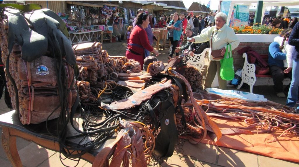 Caleta de Boyeruca inicia sus celebraciones estivales y prepara la tercera versión del Festival del Cochayuyo