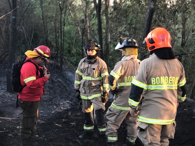 Se mantiene alerta roja por incendios forestales en Paredones