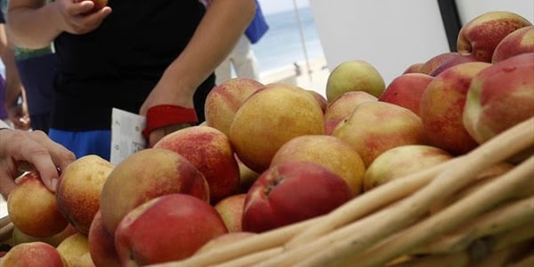 Retiro de fruta chilena en EEUU se debe a una autodenuncia del exportador