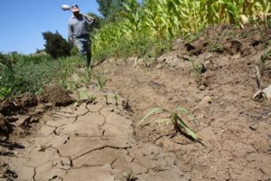 Junta de Vigilancia del Río Lontué en alerta por llegada de sistema frontal en Curicó