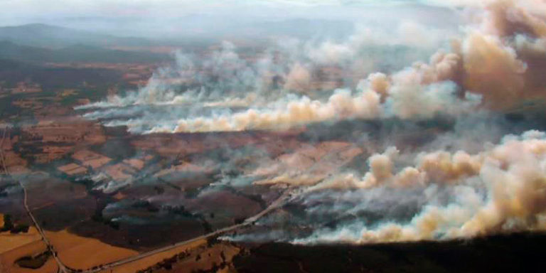 Incendios en la Araucanía han dejado 38 viviendas destruidas y 74 damnificados