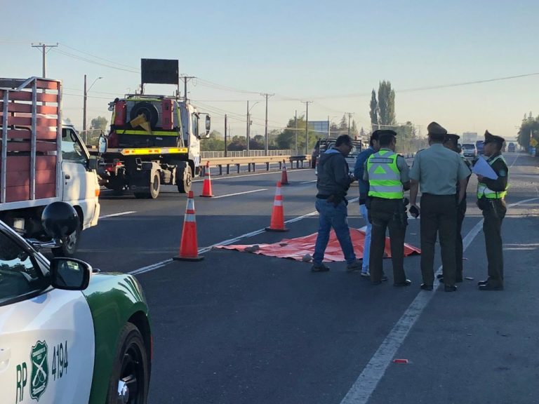 Mujer muere atropellada en Ruta 5 Sur