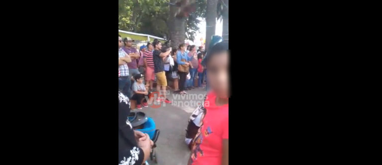 Corteza de palmera cayó sobre transeúntes en Plaza de Armas de Curicó
