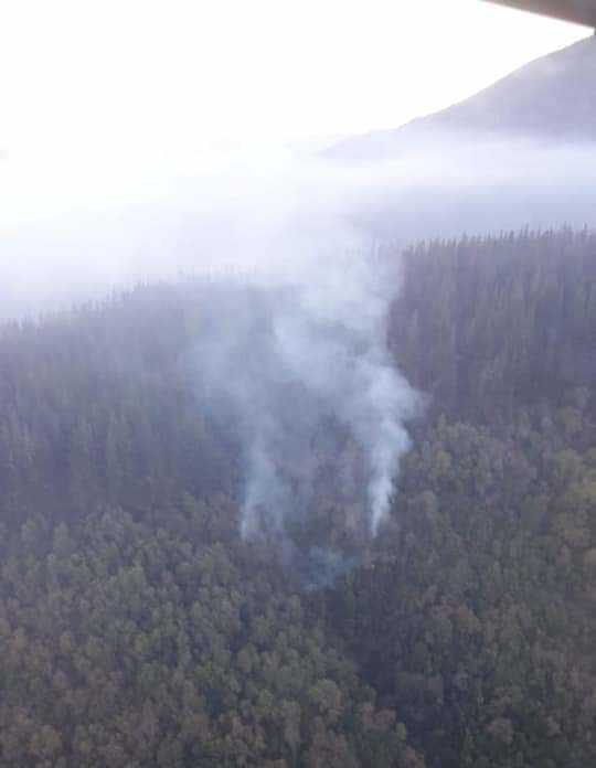 Logran controlar incendio forestal en La Hornilla en Upeo