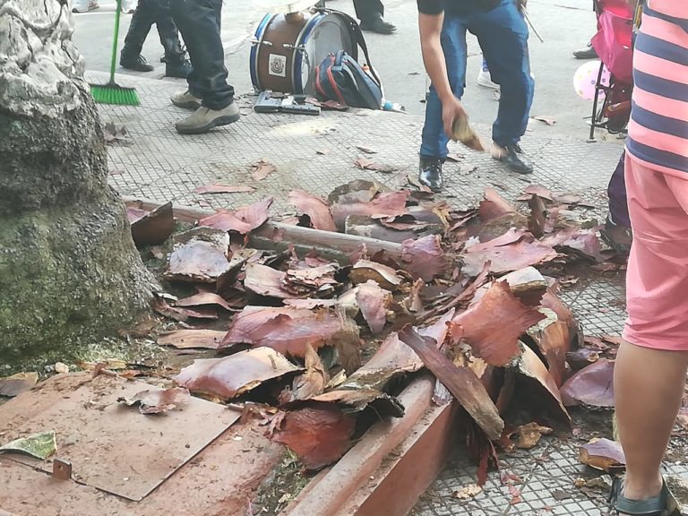 Cinco personas lesionadas por caída de trozos de palmera en Fiesta de la Vendimia