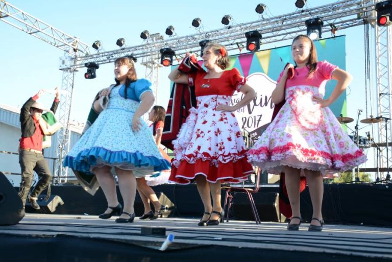 Cumbre del Vino de Lontué se celebrará este fin de semana con música y ferias