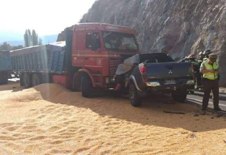 Dos gendarmes murieron en colisión frontal en San Fernando