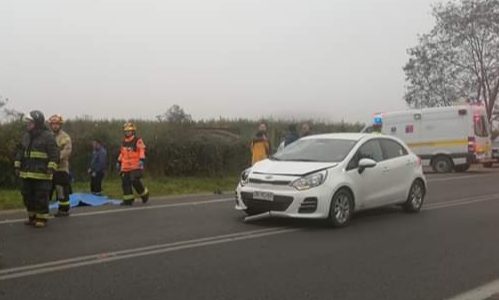 Ciclista falleció tras colisión en el cruce El Boldal de Romeral
