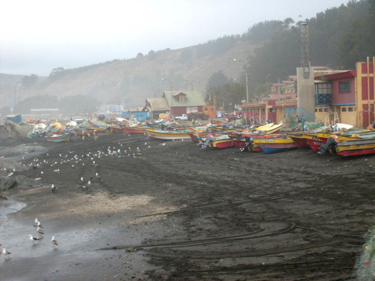 Autoridad marítima ordenó cierre de Caleta de Duao por fuertes marejadas en la costa de Curicó