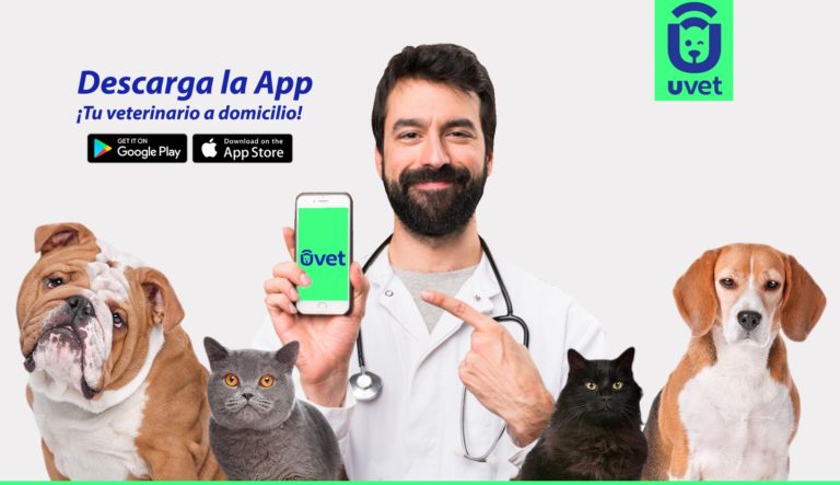 UVET, la aplicación chilena para contratar veterinarios a domicilio