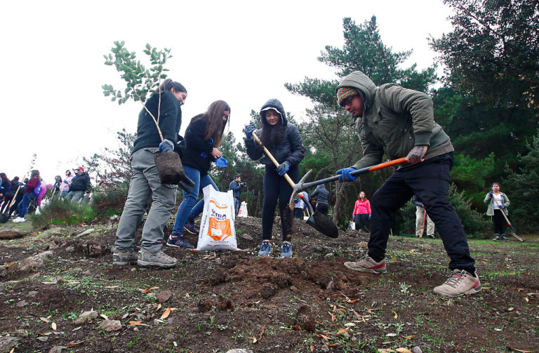 Estudiantes celebraron Día Mundial del Medio Ambiente reforestando el cerro Condell
