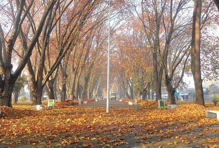 Hombre en situación de calle murió en la alameda de Curicó