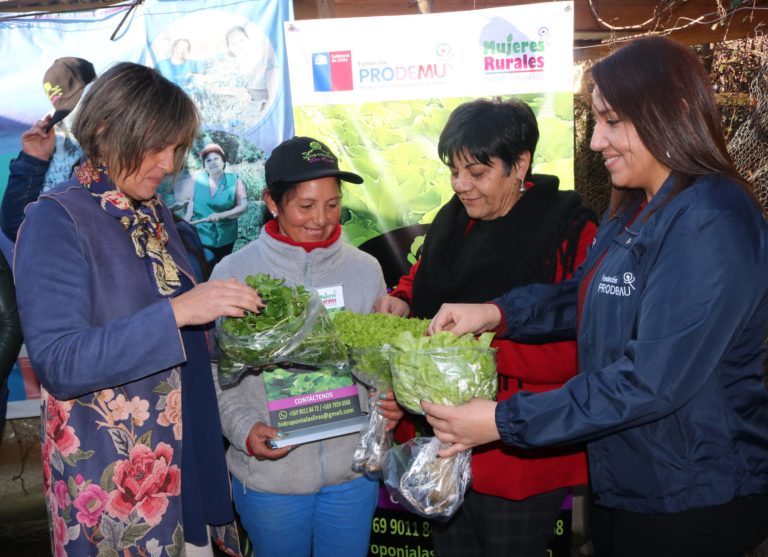 Autoridades visitaron a beneficiadas por el programa ´”Mujer Campesina” de la Fundación Prodemu y el INDAP