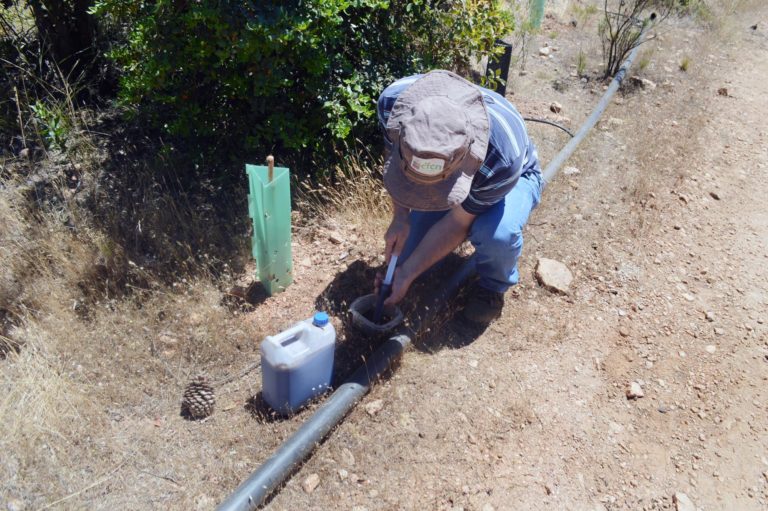 Seremi de Agricultura aseguró que ríos de la provincia de Curicó “quedarán secos” por sequía