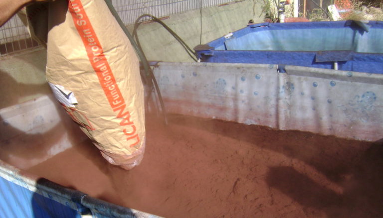 SEA declaró inadmisible proyecto de procesadora de sangre animal en Teno