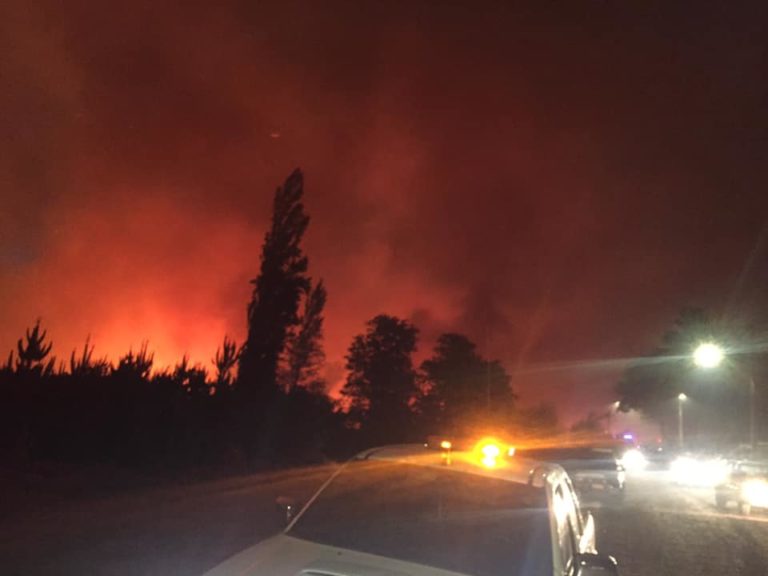ONEMI decretó Alerta Amarilla por incendio forestal en San Javier