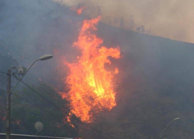 Incendio en Valparaíso: 245 casas afectadas y más de mil personas damnificadas