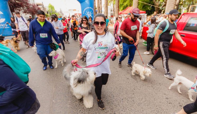 Este domingo se llevará a cabo la 7ª Perrotón “Corre con tu Perro” en Curicó