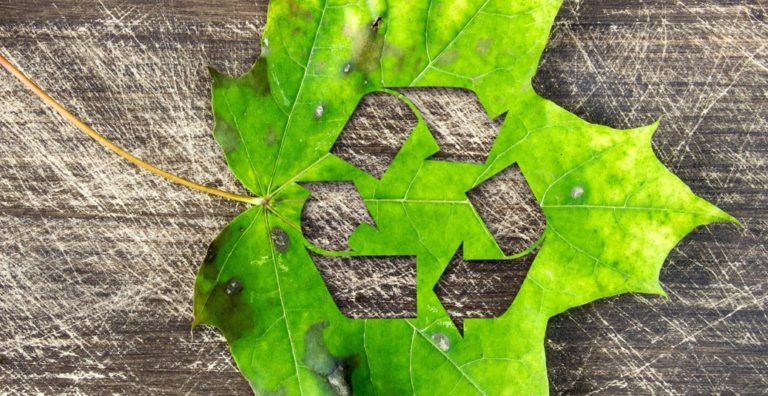 Expertos indican los beneficios de la Economía Circular para reducir la contaminación