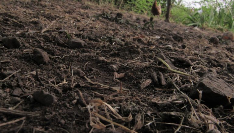 Sequía: la crisis que nos ataca en silencio