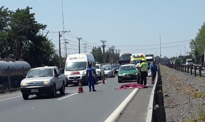 Hombre falleció al ser atropellado en Ruta 5 Sur frente a Romeral