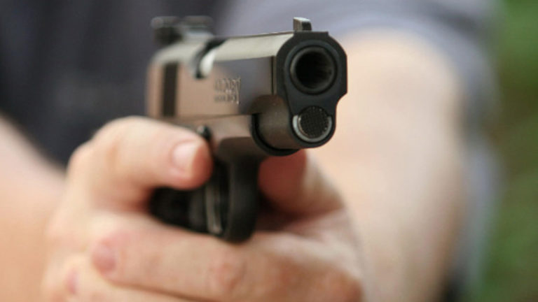 Sujeto robó arma semiautomática a agricultor de Hualañé