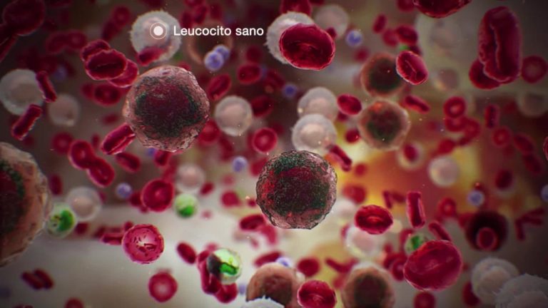 ¿Curaremos algún día el cáncer?