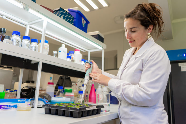 Estudiante Utalca viajó a la Antártica para investigar memoria genética en las plantas