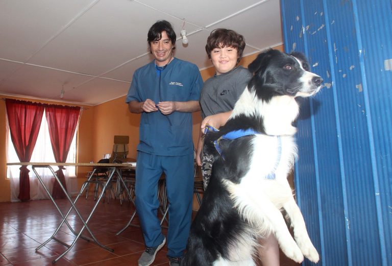 Operativo de Veterinaria Popular de Rauco atendió a más de 200 mascotas