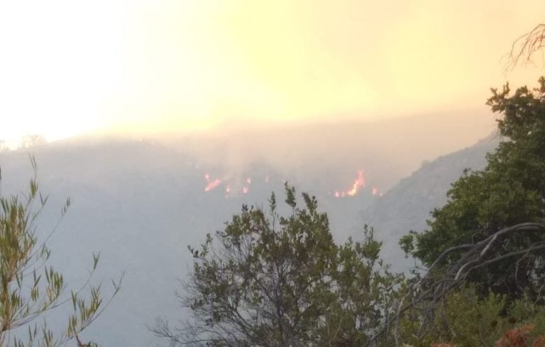 Conaf monitorea avance de incendio forestal hacia sector de Alupenhue en Molina