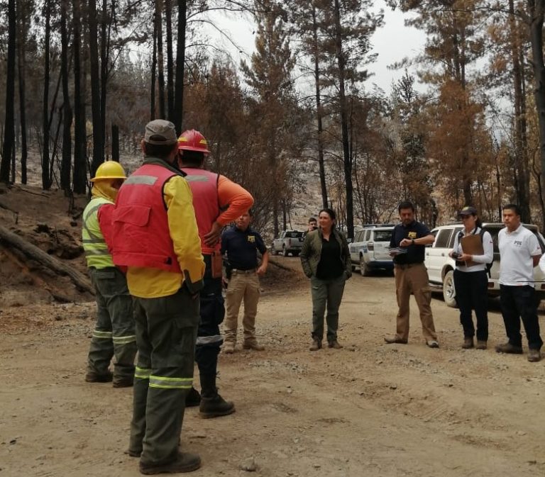Fiscalía de Molina y peritos de la PDI realizan diligencias para investigar incendio forestal