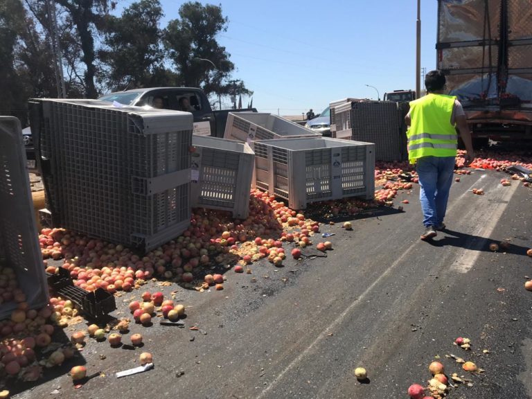 Colisión múltiple de camiones interrumpió tránsito en Ruta 5 frente a Curicó