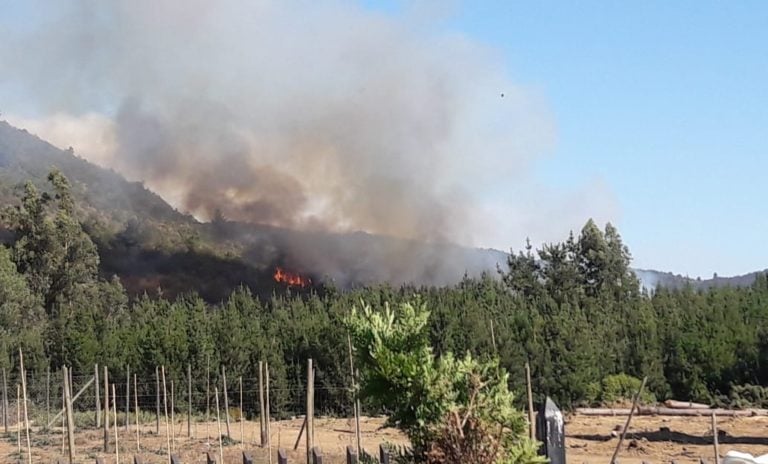 Alerta por reactivación de foco de incendio forestal en Alupenhue