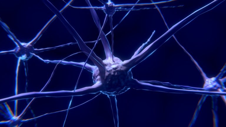 El límite entre la vida y la muerte en las neuronas