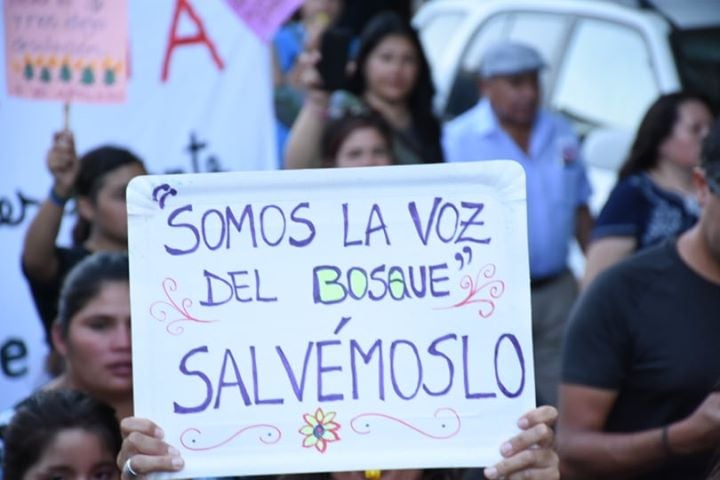 Cientos de personas marcharon en Molina exigiendo más recursos al gobierno por incendio forestal