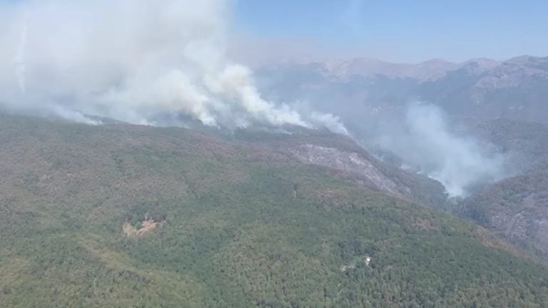 Video: Así se ve el incendio forestal de Agua Fría desde las alturas
