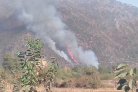 Incendio forestal afecta a sector de La Puntilla en comuna de Molina