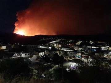 Intendente del Maule confirmó intencionalidad en incendio forestal que afecta a Constitución