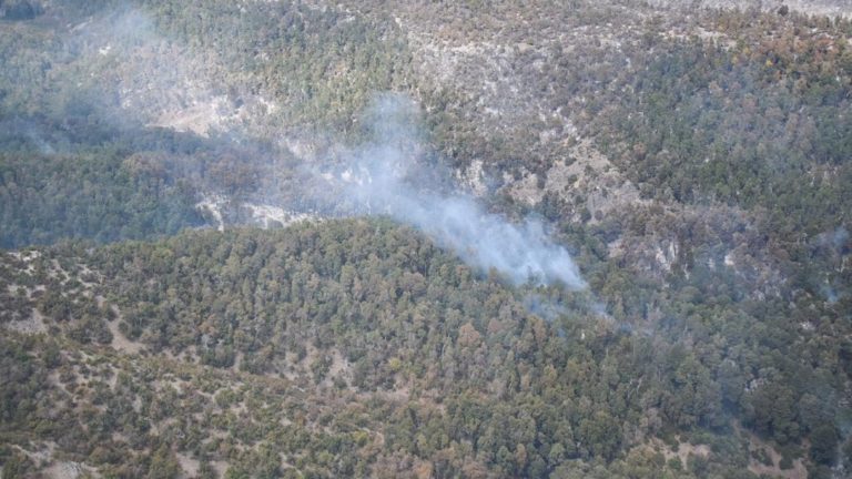 Incendio forestal en precordillera de Molina logró ser contenido