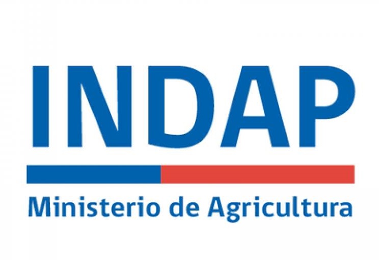 Funcionaria de INDAP Maule dio positivo por Covid-19
