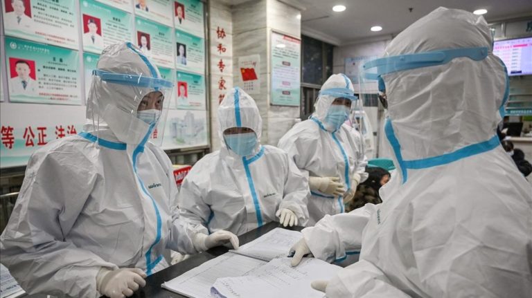 ¿Verdadero o falso?: Expertos de la Universidad de Talca despejan rumores sobre coronavirus