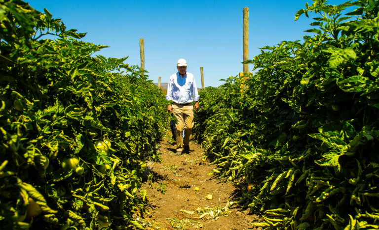 Antonio Walker: Un 13% de los contagiados por coronavirus son del sector rural