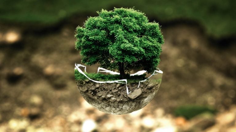 Lecciones de una pandemia para resolver la crisis medioambiental