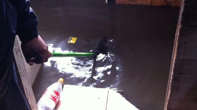 Vecinos de Villa Don Álvaro de Teno indignados por colapso de cámaras de aguas servidas