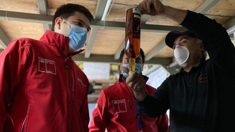55 pymes de la Provincia de Curicó fueron beneficiados del programa Reactívate de Sercotec