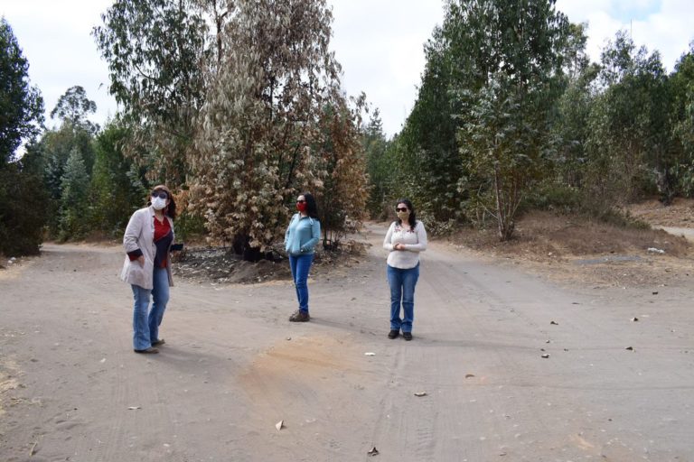 60 viviendas construidas en madera beneficiarán a familias de Putú