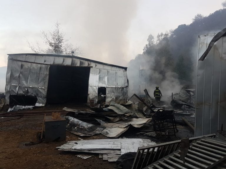 Incendio consume bodegas y caballares fina sangre en Comalle