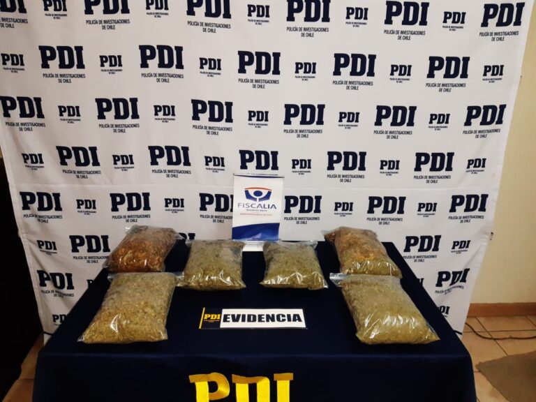 PDI Cauquenes detiene en flagrancia a sujeto con dos kilos de cannabis sativa procesada