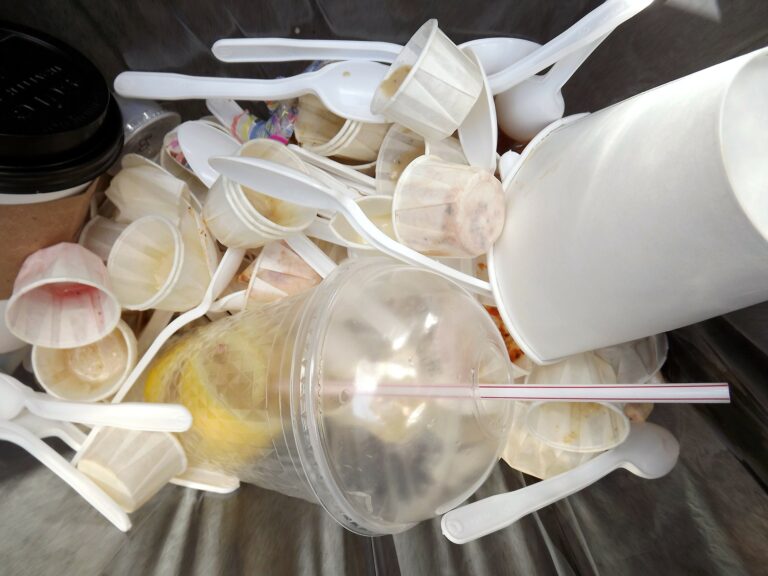 Plástico o vidrio: ¿qué botella debemos escoger para cuidar el medioambiente?