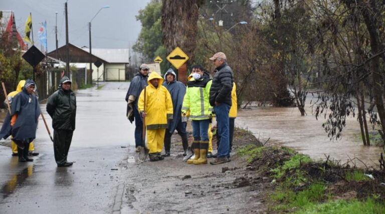 Trabajos en canales y árboles para evitar complicaciones por las lluvias